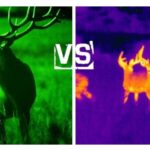 night vision vs thermal