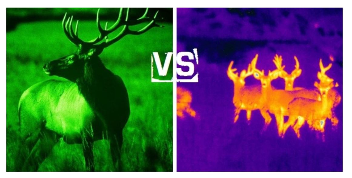 night vision vs thermal