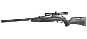 Gamo Swarm Maxxim air gun