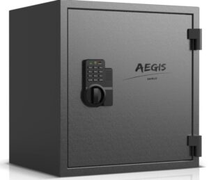 AEGIS Fireproof Safe