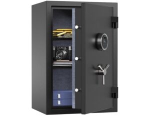 RPNB Biometric Safe Box under 600