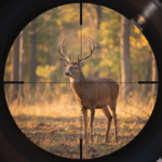 Deer Hunting In Crosshair