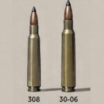 308 vs 30-30