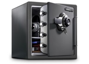 SentrySafe Waterproof & Fireproof Alloy Steel Digital Safe Box (SFW123GDC)