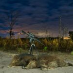 Hog hunting
